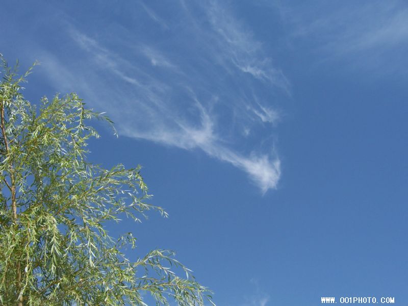 阴宅风水的八大富贵格局--阴宅风水好格局