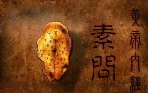 如何看墓地风水？