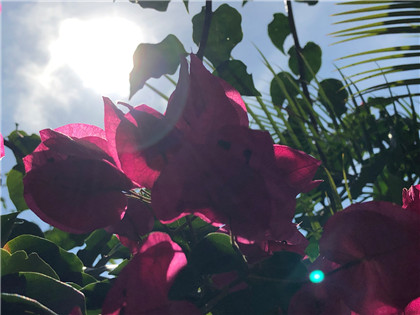 当代女生最赚钱的十大职业，公关是女生的“传统优势项目”