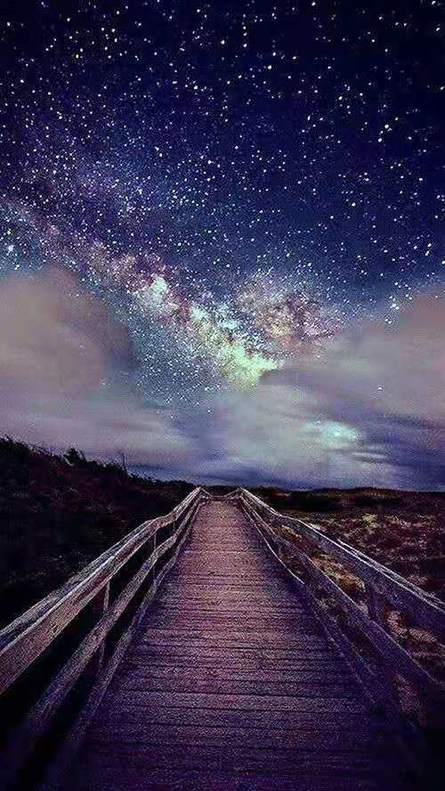 2020年12月31日金牛座狮子座今日运势