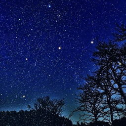 2020年12月31日天枰座处女座今日运势