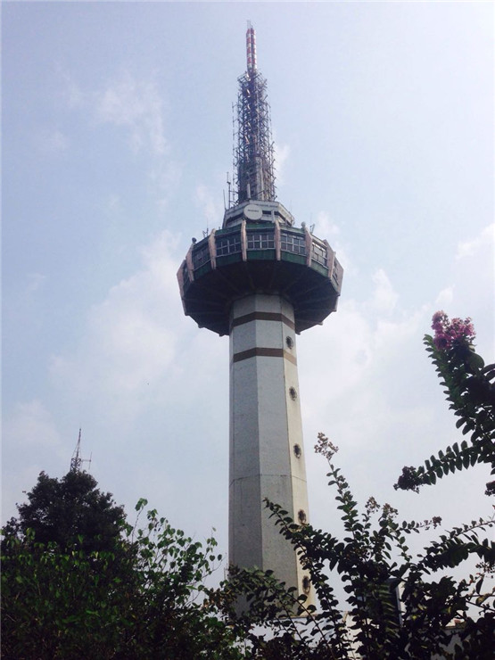 食物禁忌表，猪肉忌与荞麦同食,同食令人落毛发