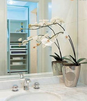 房子对着高架风水好吗