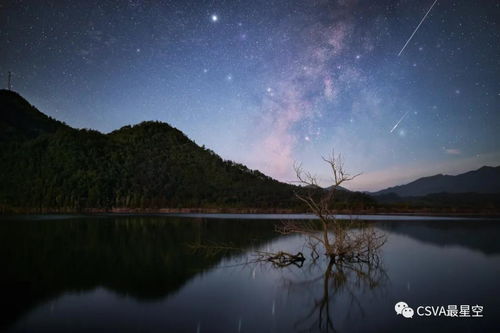 2021年1月4日金牛座狮子座今日运势