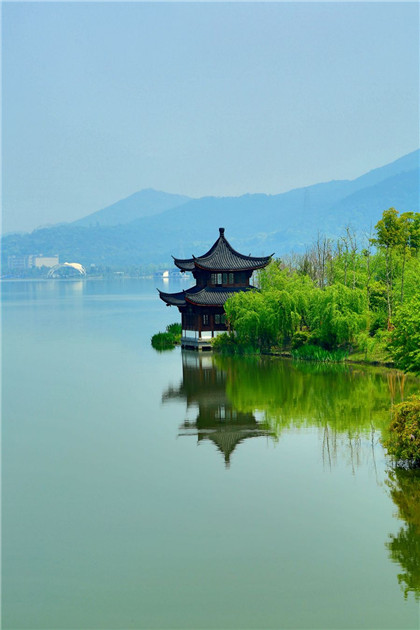 有关于养花的民间谚语，家庭养花有什么好处呢?