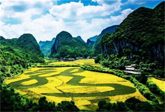 有关立秋的民间谚语，白露身不露，秋后少游水