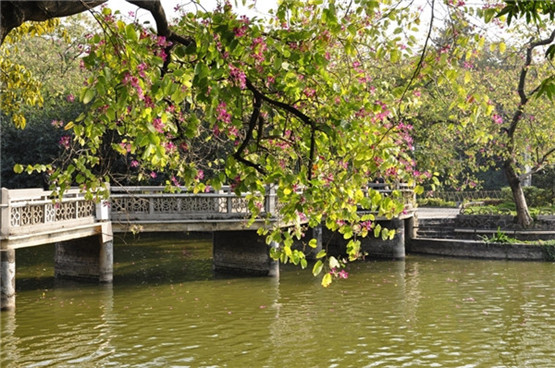 常用的英文谚语，宁为善而斗, 毋屈服于恶