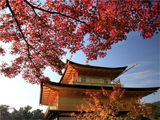 找机会考察一下男友，找出男友心理危险的一面