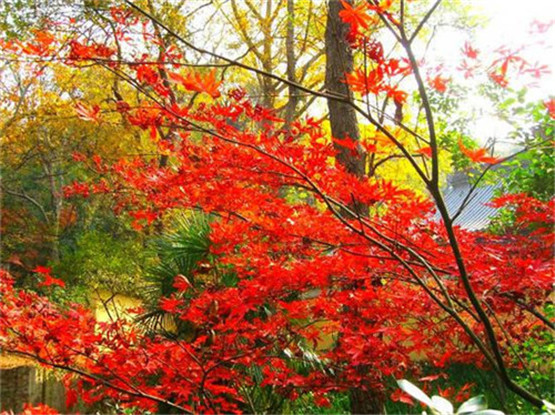 孔子说：“四十而不惑”，活到四十岁的人生感悟