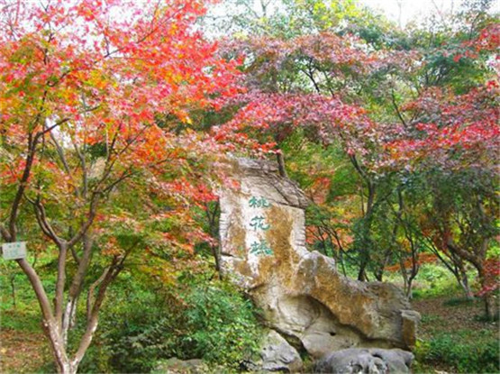 有关钓鱼的谚语，春虫夏面秋蚯蚓，冬钓鲤鱼唯红虫