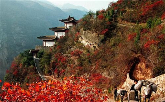 有关动物预测天气谚语，早晚烟扑地，苍天有雨意