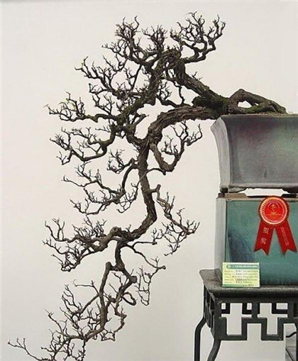 有关天气气象谚语大全，明天有雨落，今晚蚊子恶