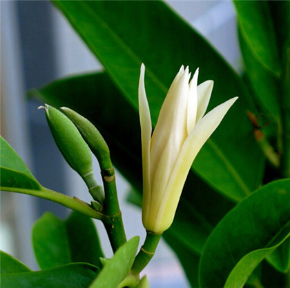 国学经典魏晋朝诗词【赠刘琨诗二十首 一】原文及解析