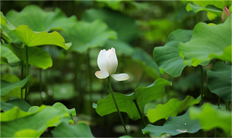 如何节省时间提高学习效率？从心理学谈谈如何提高成绩