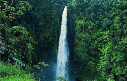 色彩与心理健康，蓝色或绿色是最佳心理镇静剂