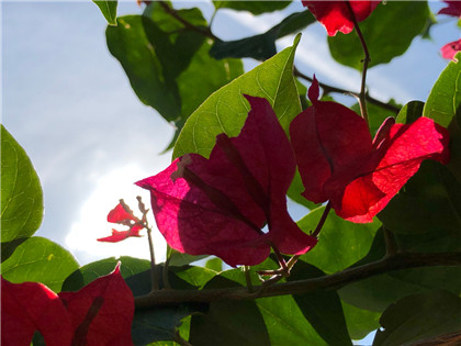 有一种方法叫“色疗”,通过色彩搭配来协助调节身心的健康