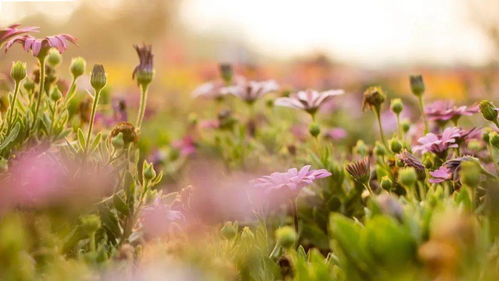 旺人，旺财的玄关风水有啥讲究？