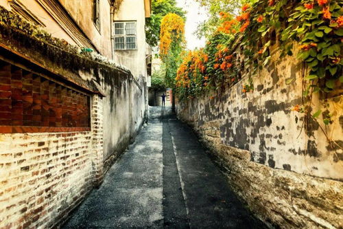 办公风水布局小技巧，助你快速开单人缘好