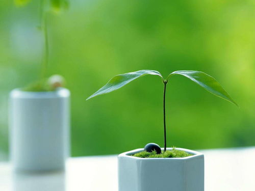 六爻测感情婚姻有外遇