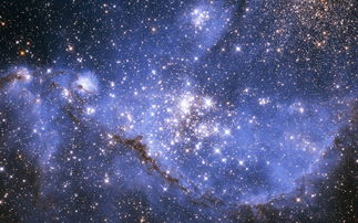 2021年1月29日水瓶座魔蝎座今日运势