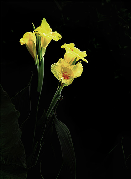 国学唐朝经典诗词【咏怀寄皇甫朗之】原文及解析