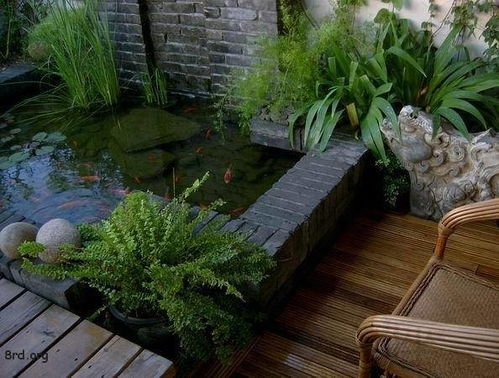 室内风水十大禁忌