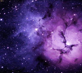 2021年1月30日水瓶座魔蝎座今日运势