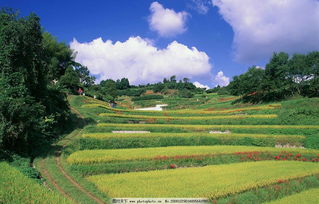 六爻测自己婚姻如何？因为什么离婚