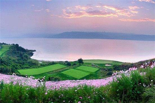 国学唐朝经典诗词【反鲍明远《白头吟》】原文及解析