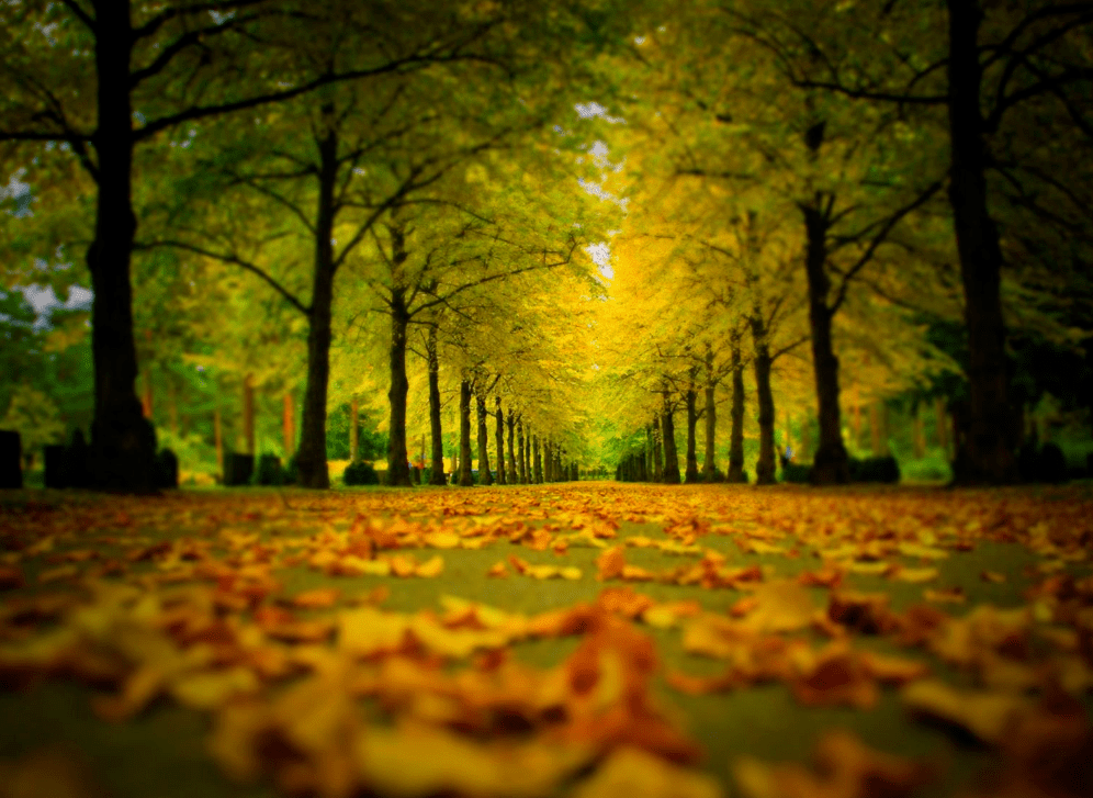 身体出汗预示什么病?身体8部位常出汗要当心