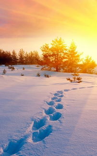 如何看公墓风水？选择好的墓地风水