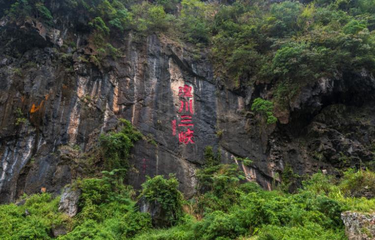 有关戏曲的民间谚语,戏无情不动人，戏无理不服人