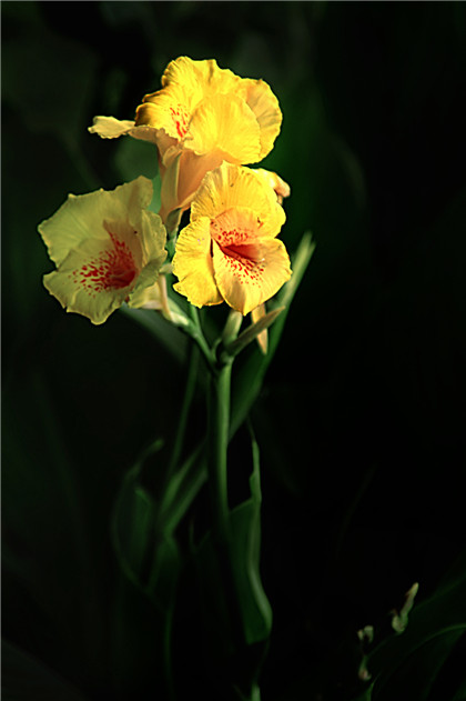 新编民俗的谚语集锦,以势服人口，以理服人心