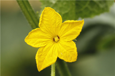 养生堂节目—名医名方大汇总,治疗手脚冰凉怕冷的偏方