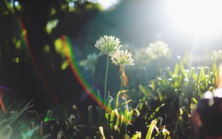 厨房风水大忌讳，别把财运赶跑了！