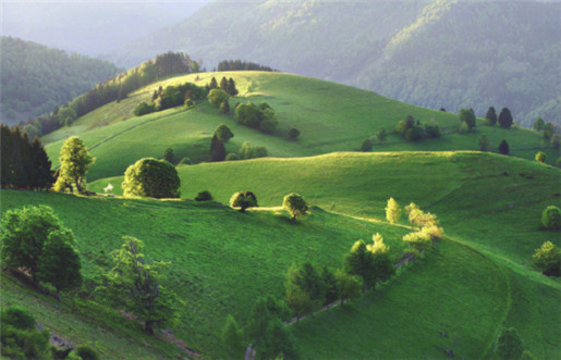 养生堂名医名偏方 治疗小孩尿床的偏方