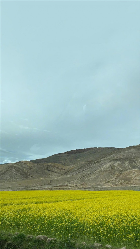 国学经典唐朝诗词【有木诗八首】原文及解析