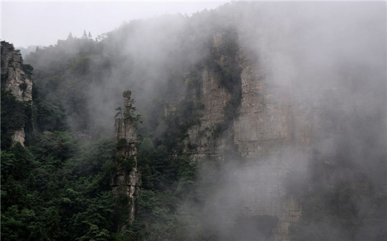 禁毒名言警句,勿逞一时之快，误美好一生