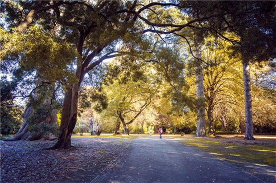 有关于乌龟的民间谚语,千年王八,万年龟