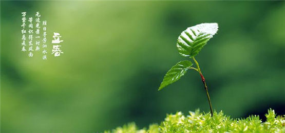 和胃补脾,润养肺燥的家常养生粥十大做法