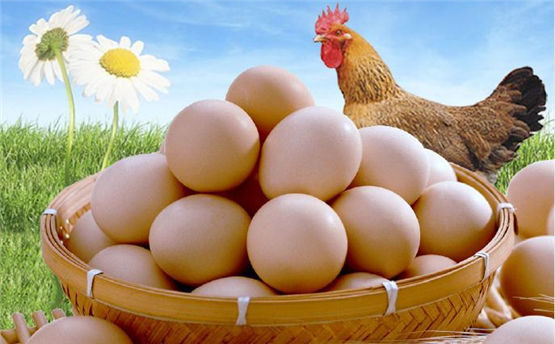 女性补气血的8个偏方,通过食补加中药让女人重返好颜值