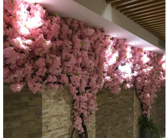 家里放什么东西会让财运越来越衰