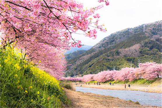 各地有关天气预测的民谚九九歌，七九八九沿河插柳