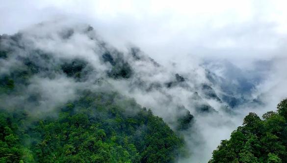 广东话的最高境界，粤语谚语（牛耕田 马食谷）童谣