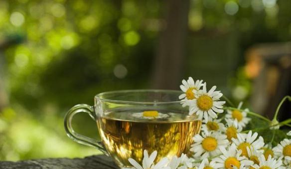 水果养生茶可以补充人体所需营养,水果养生茶怎么搭配才好？