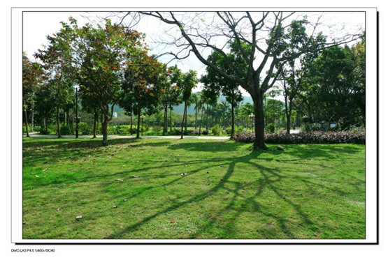 夏季的谚语大全，立夏小满田水满，芒种夏至火烧天