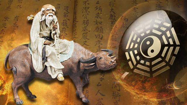 男性中年发福肥胖啤酒肚怎么办？荷叶茶降脂减肥效果好