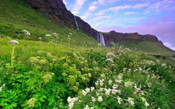 容易犯小人的风水布局有那几个