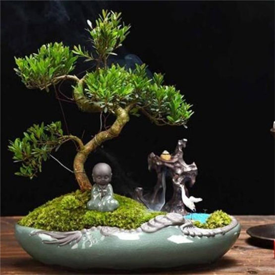 揭家庭养生之道的秘诀，中医养生话七情