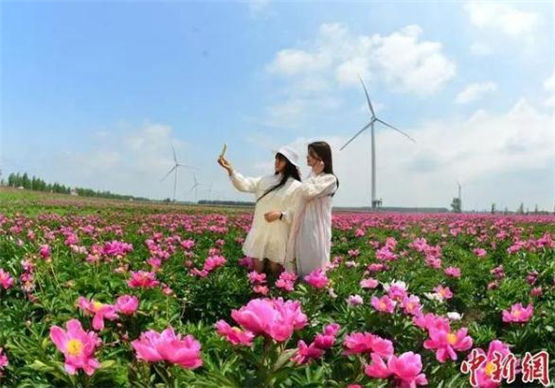 女性养生妙招 女人三大时期保健做聪明俏女人